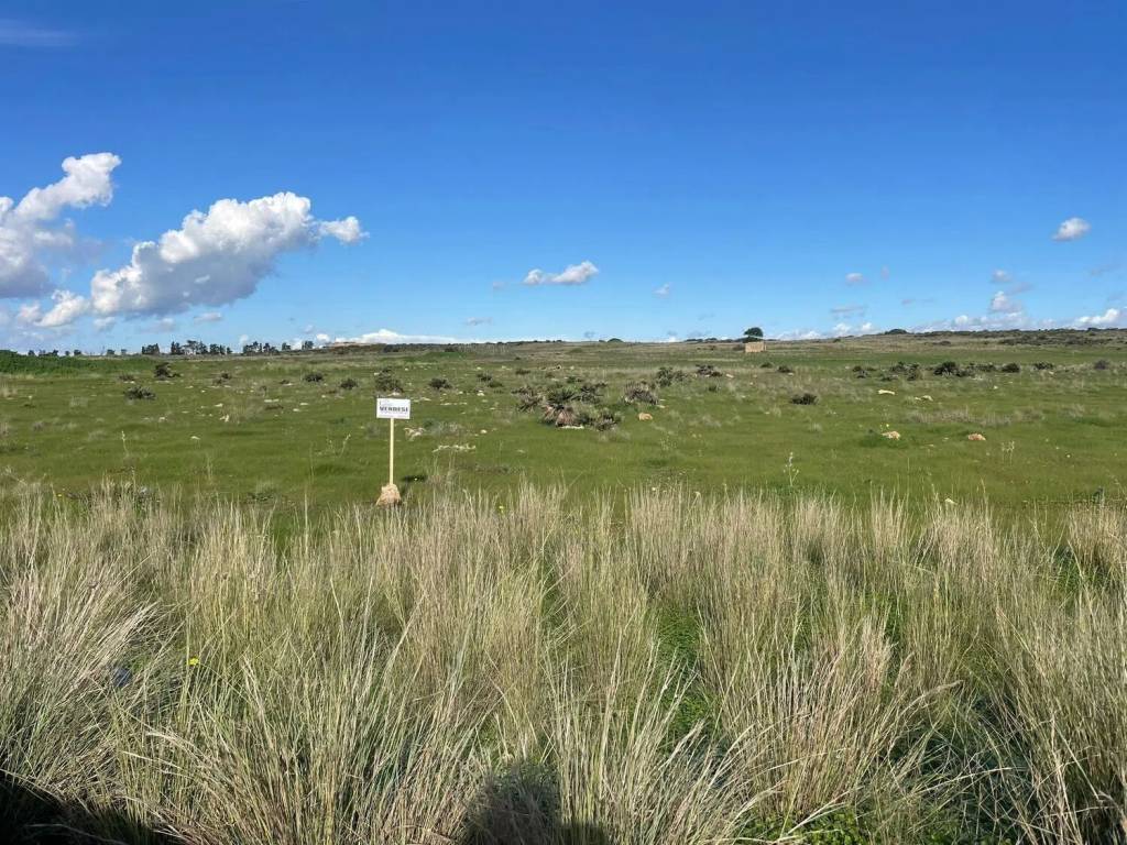 immagine annuncio 1 di 2