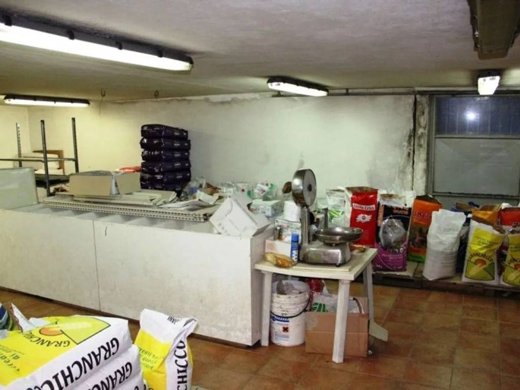 immagine annuncio 1 di 3