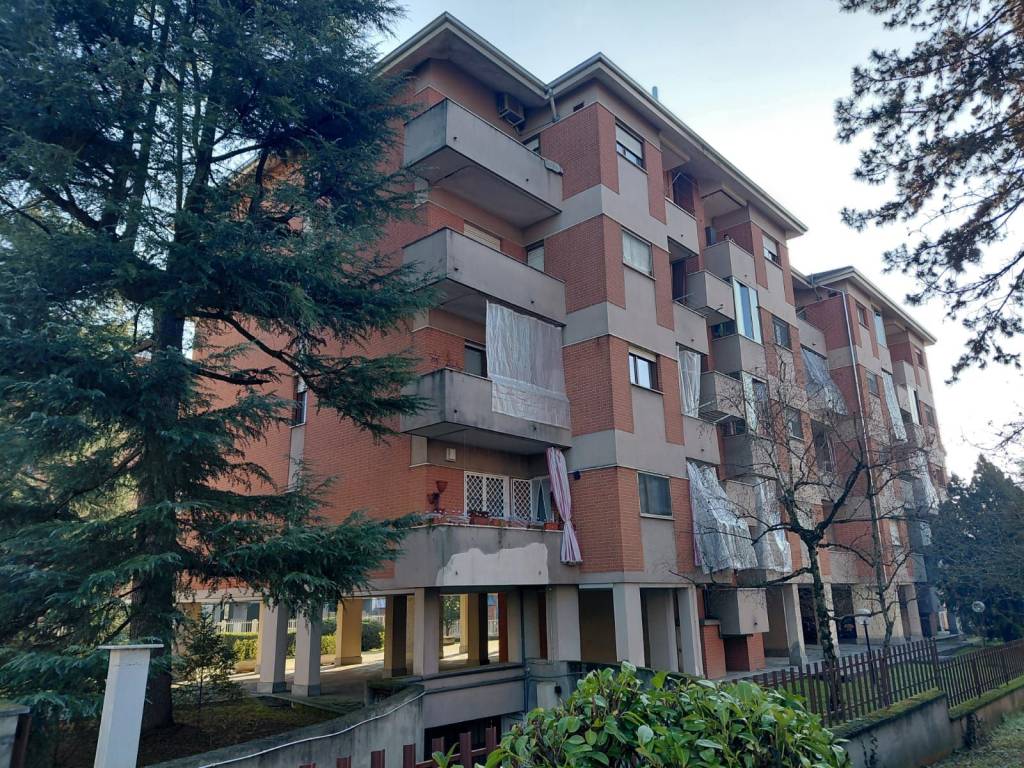 immagine annuncio 2 di 5