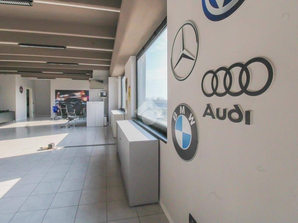 immagine annuncio 2 di 5