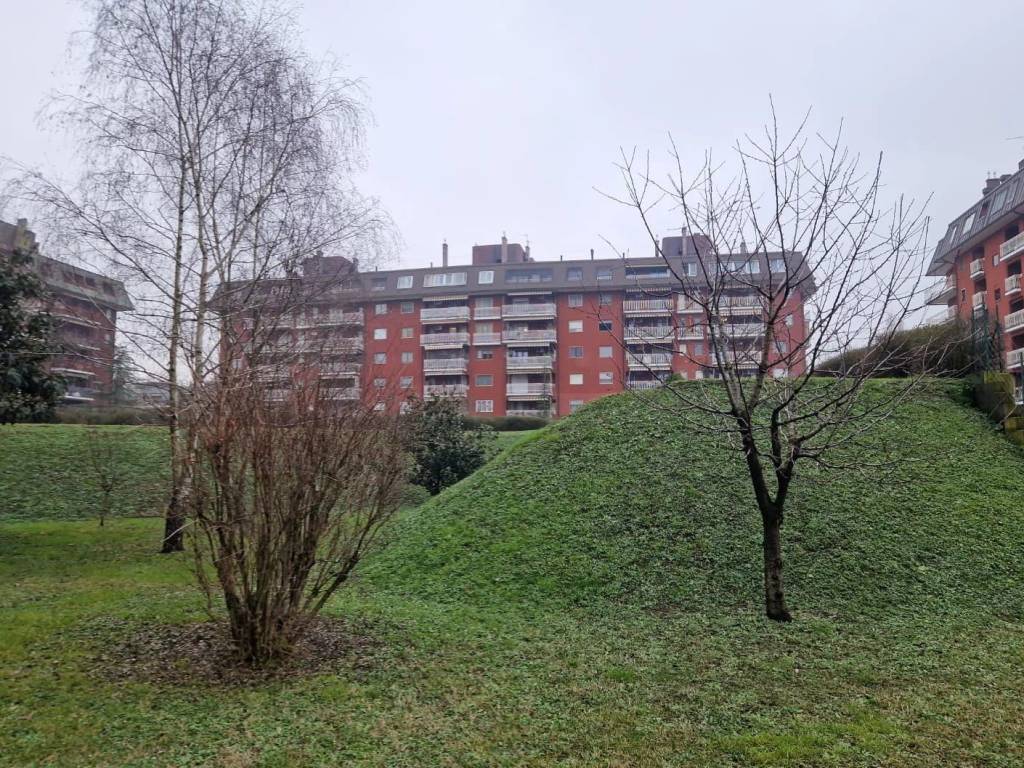 immagine annuncio 4 di 5