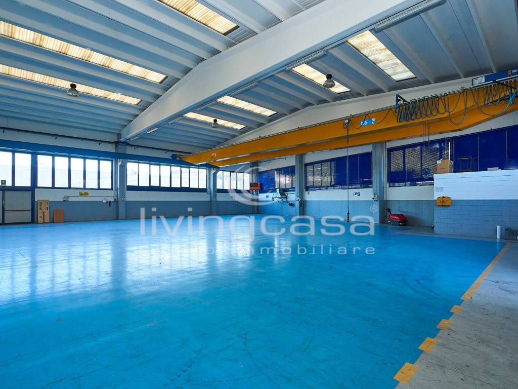 immagine annuncio 2 di 5