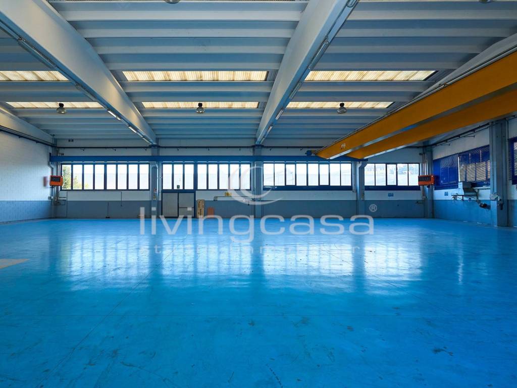 immagine annuncio 3 di 5