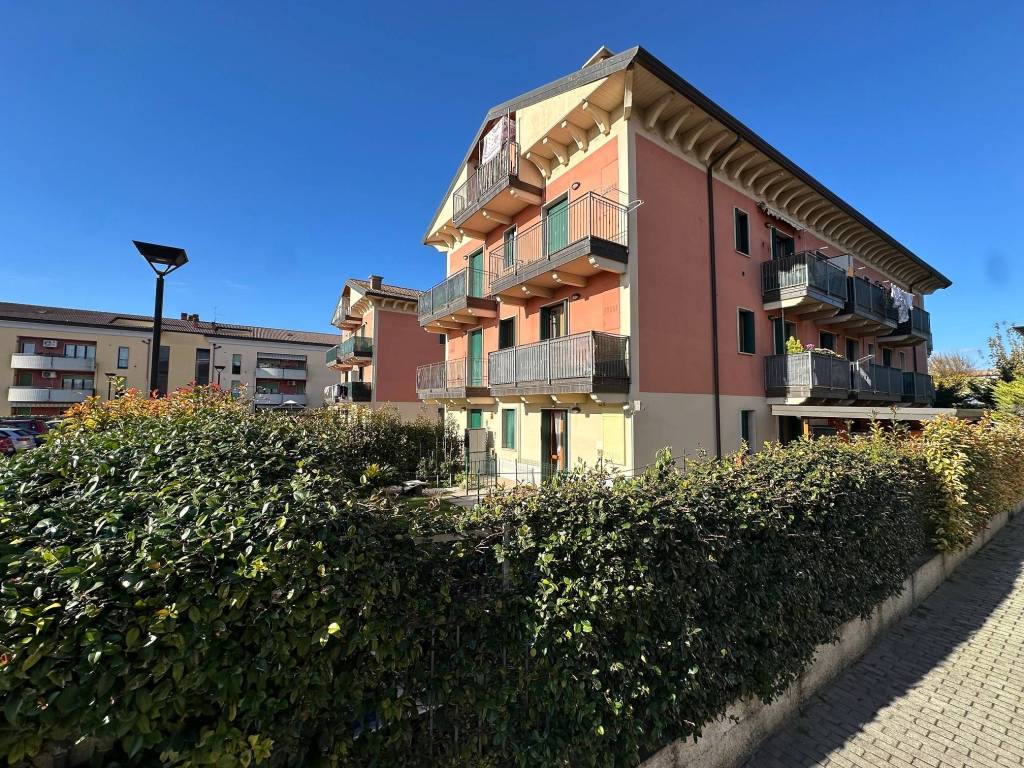 immagine annuncio 2 di 5