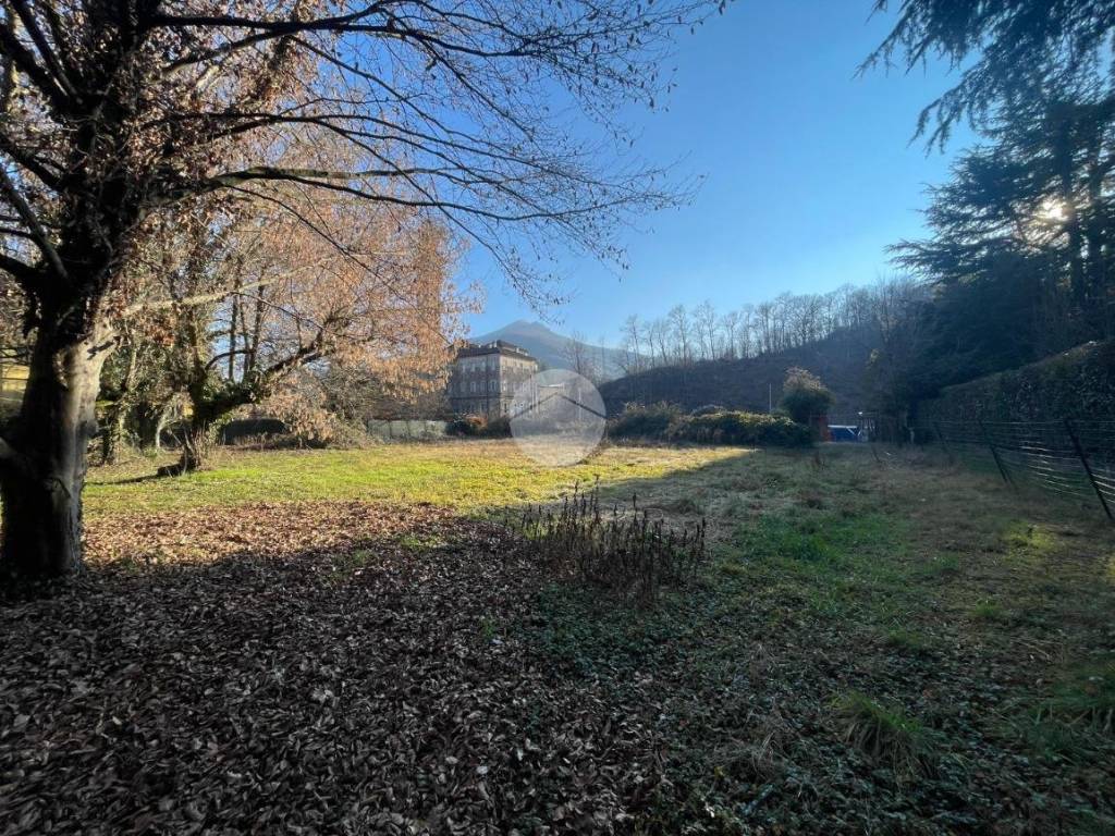 immagine annuncio 2 di 4