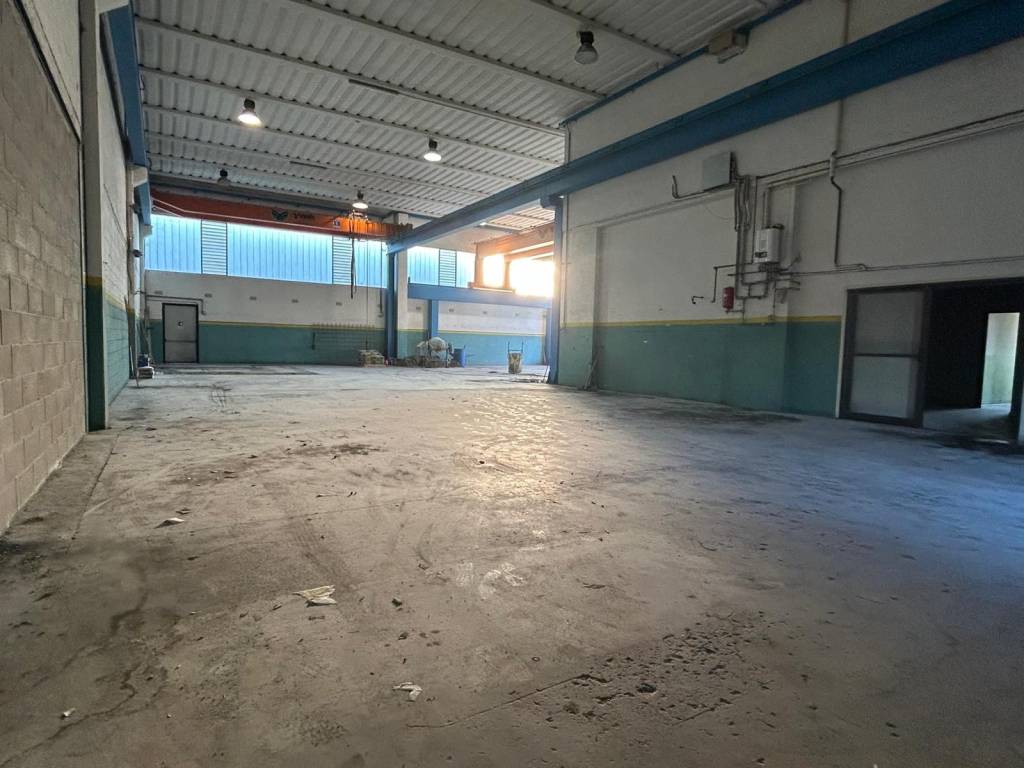 immagine annuncio 2 di 5