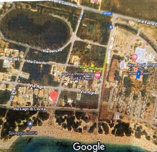 immagine annuncio 2 di 4