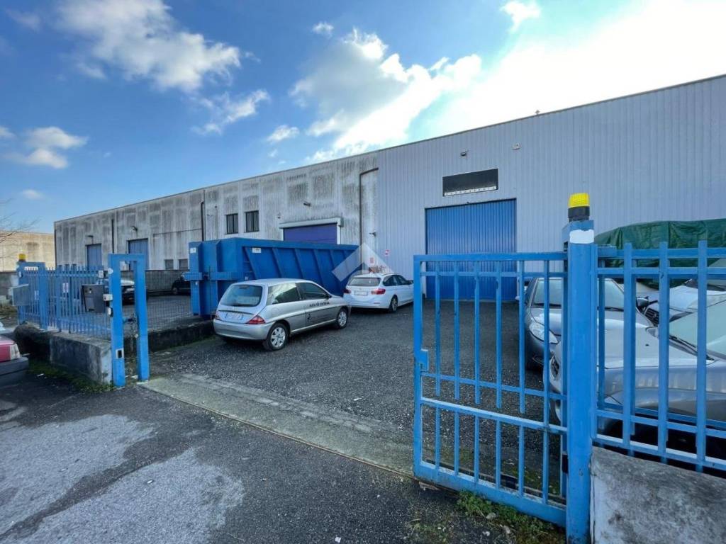 immagine annuncio 1 di 5