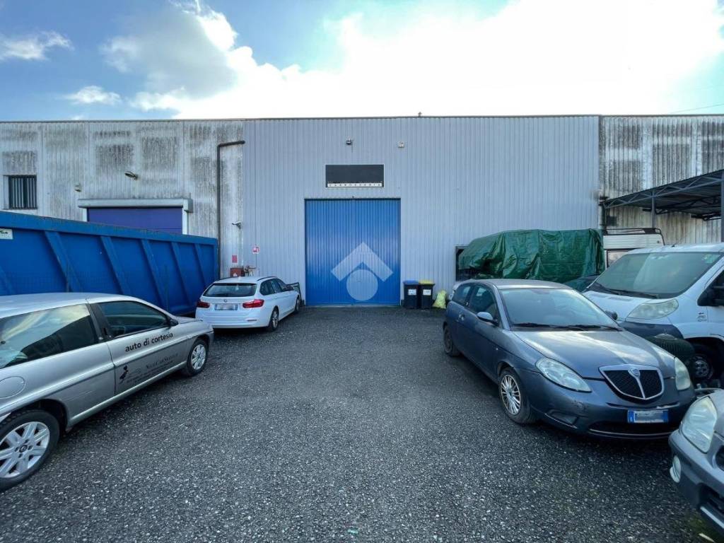 immagine annuncio 2 di 5