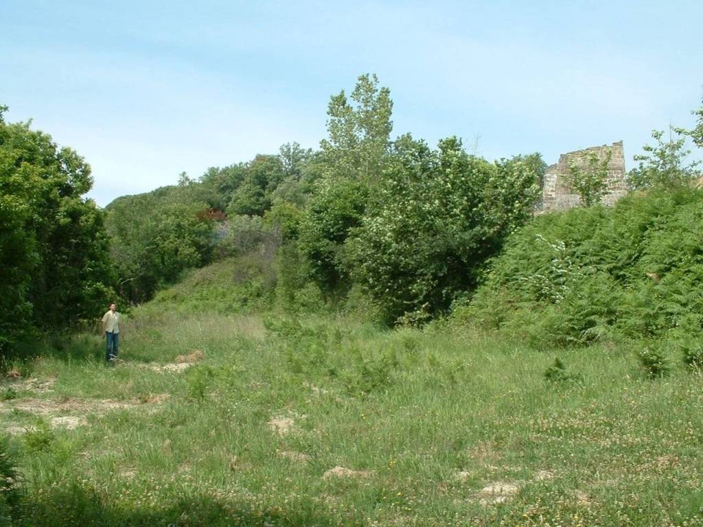 immagine annuncio 2 di 4