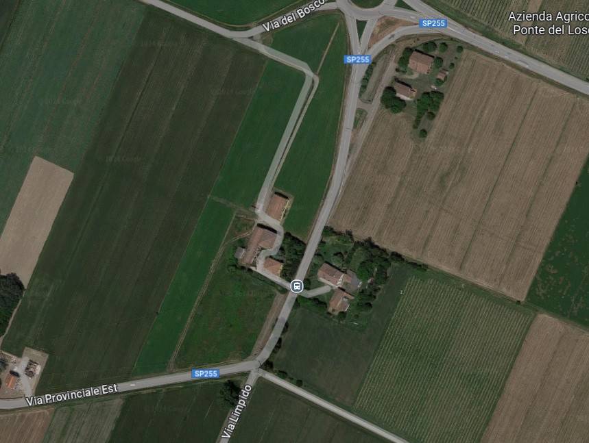 immagine annuncio 2 di 5