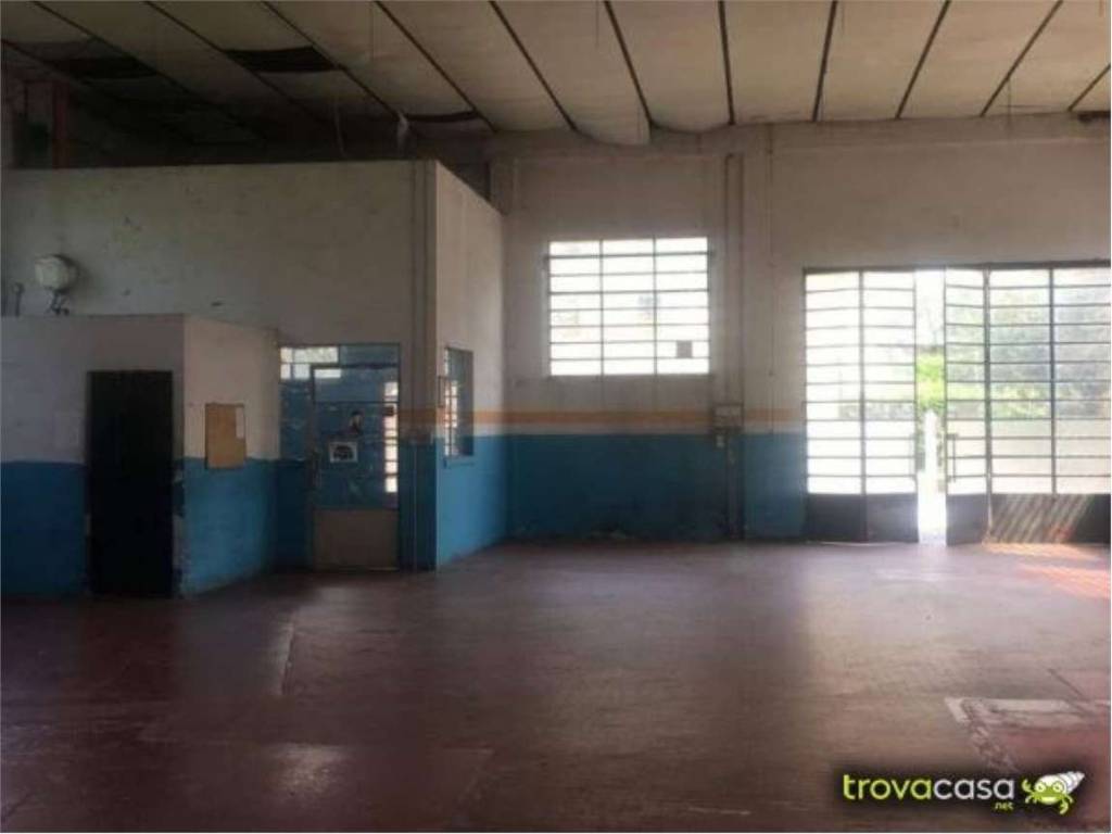 immagine annuncio 2 di 4