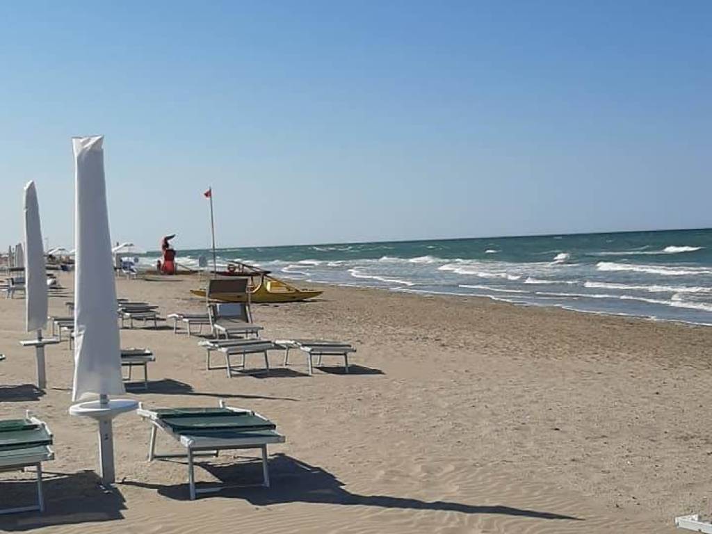 immagine annuncio 2 di 4