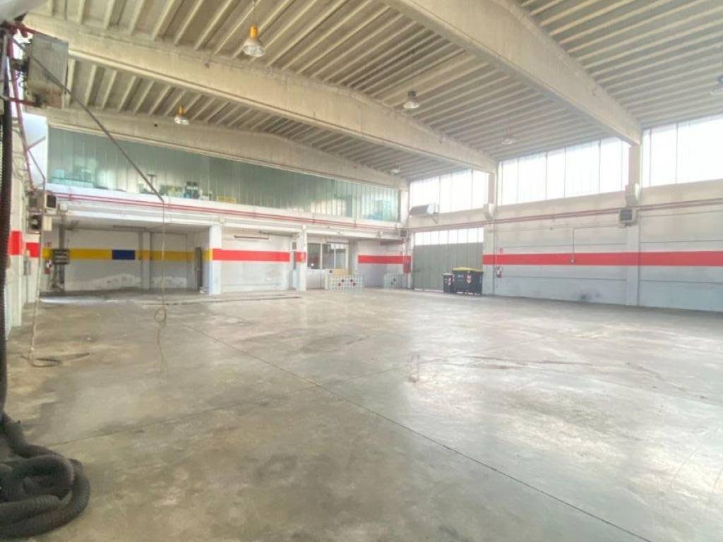 immagine annuncio 2 di 5