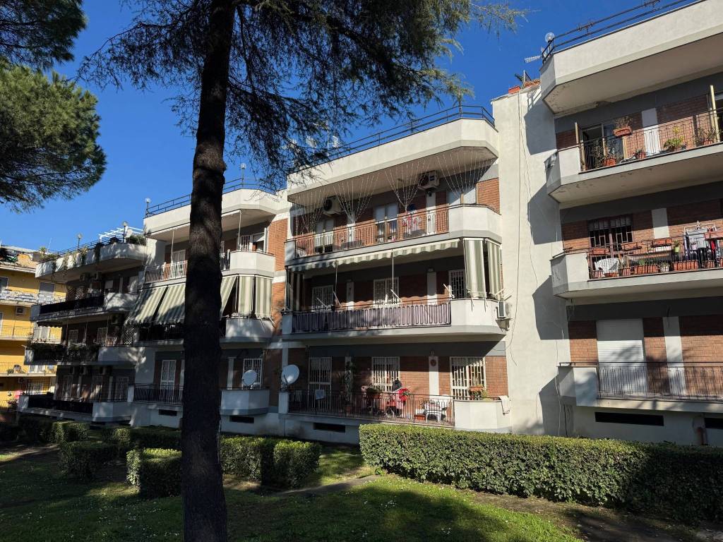 immagine annuncio 3 di 5