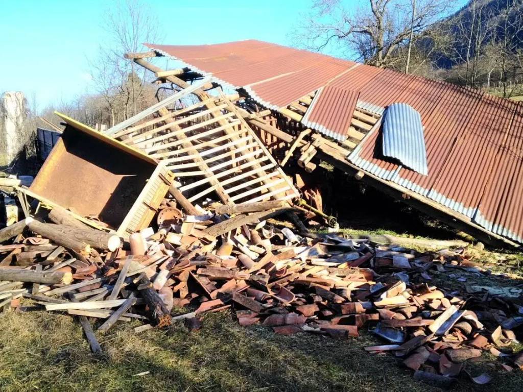 immagine annuncio 2 di 3