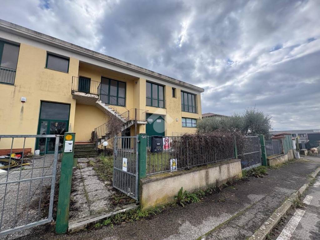 immagine annuncio 2 di 5