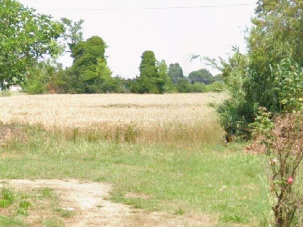 casa indipendente in vendita a Cesena in zona Vigne