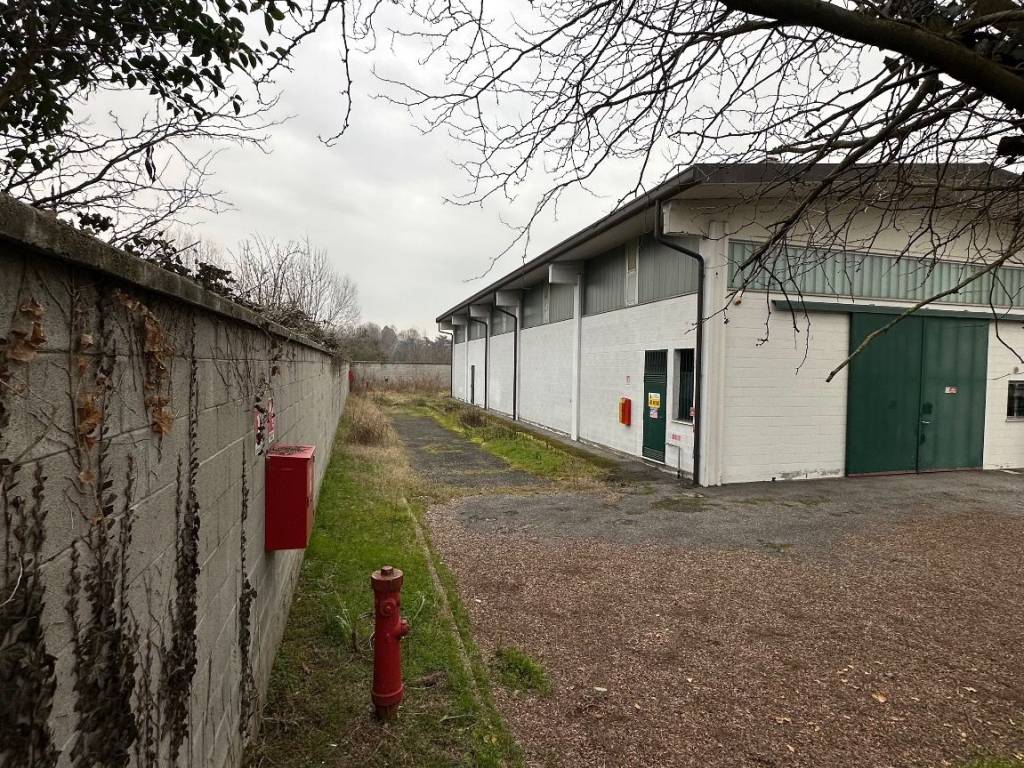 immagine annuncio 4 di 5