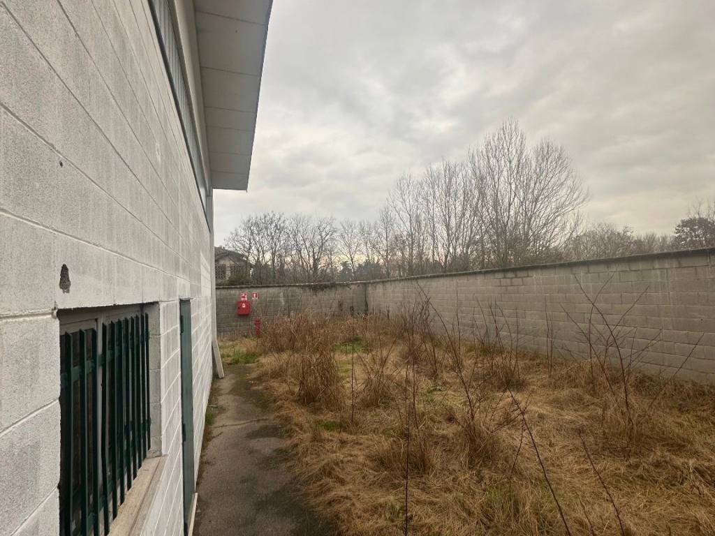 immagine annuncio 4 di 5