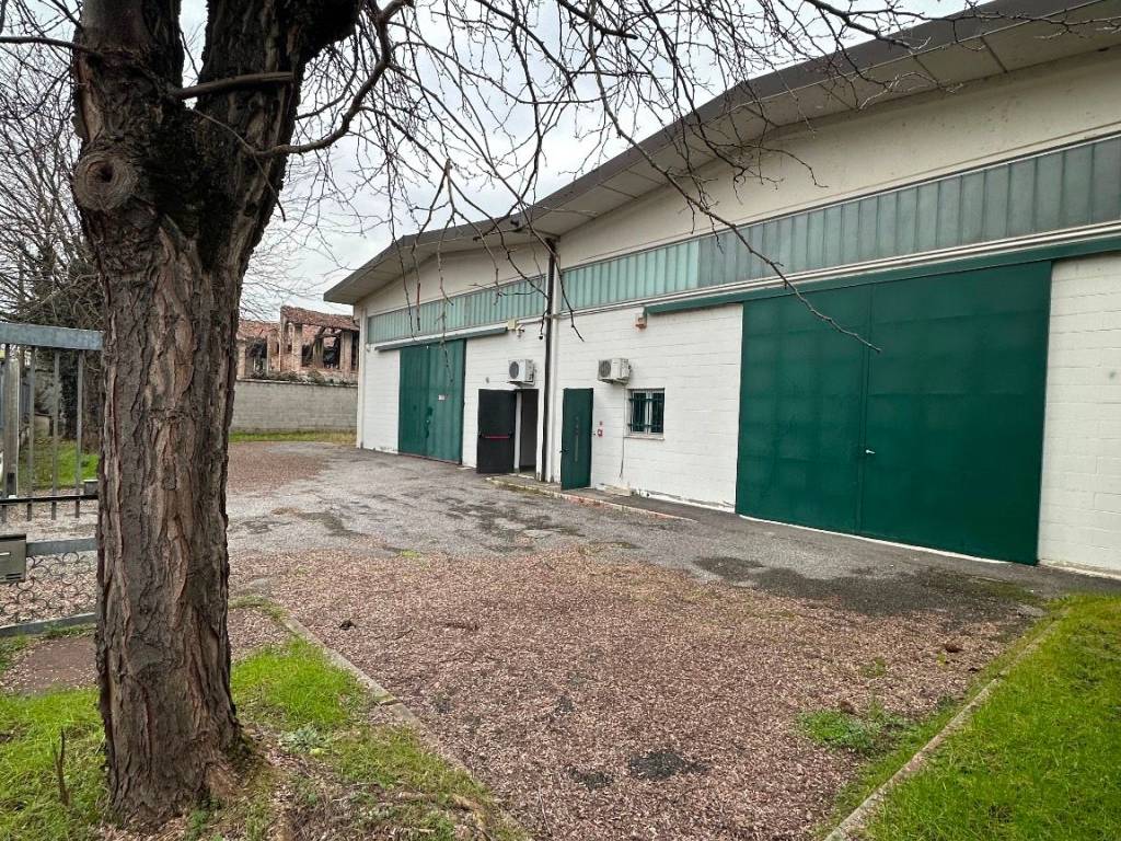 immagine annuncio 4 di 5