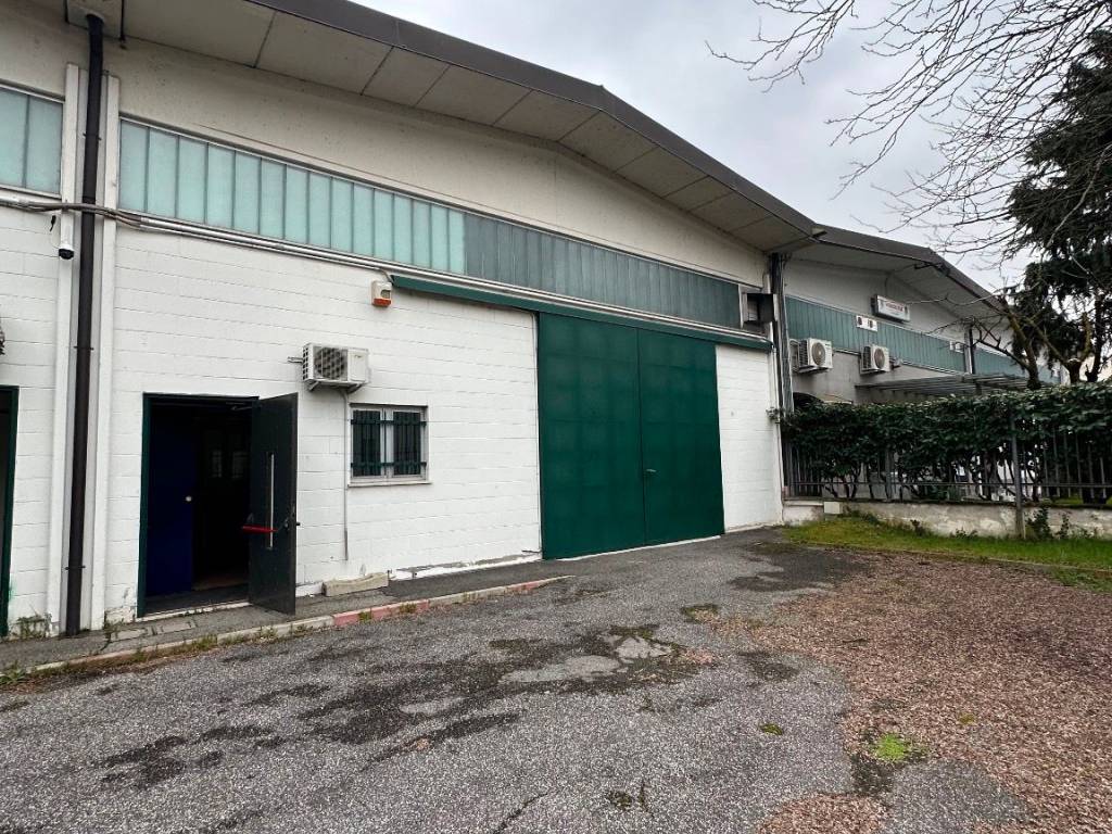 immagine annuncio 2 di 5