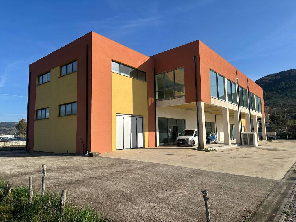 immagine annuncio 1 di 5