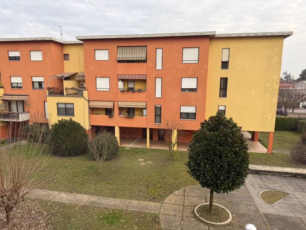 immagine annuncio 3 di 5