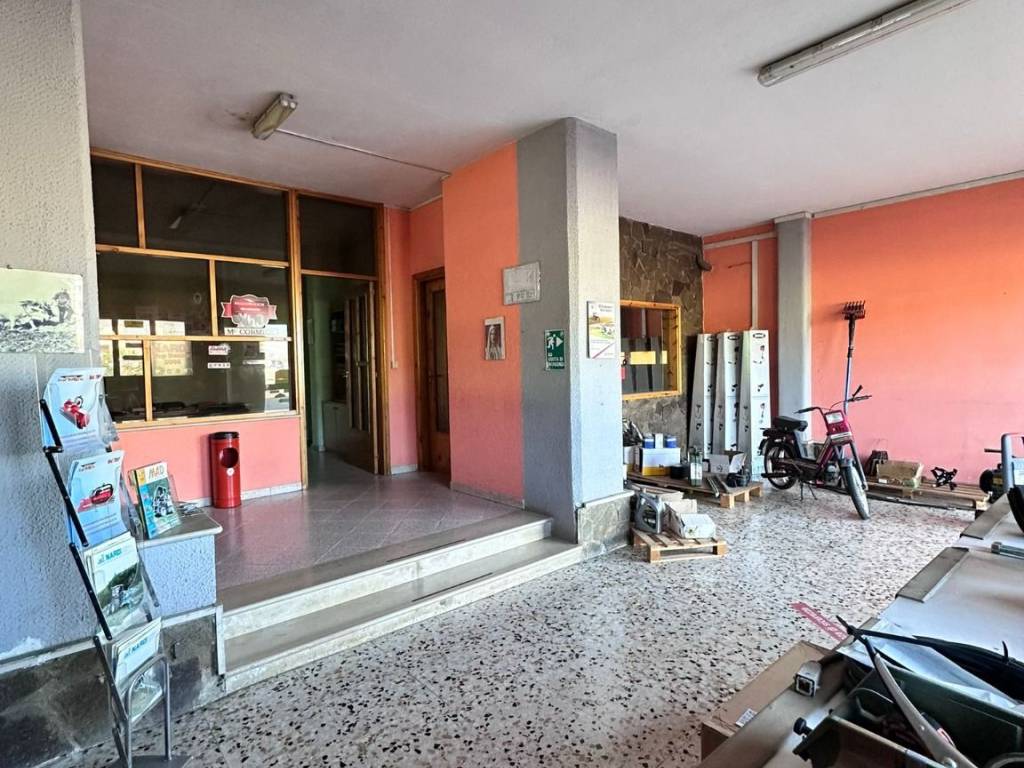 immagine annuncio 3 di 5