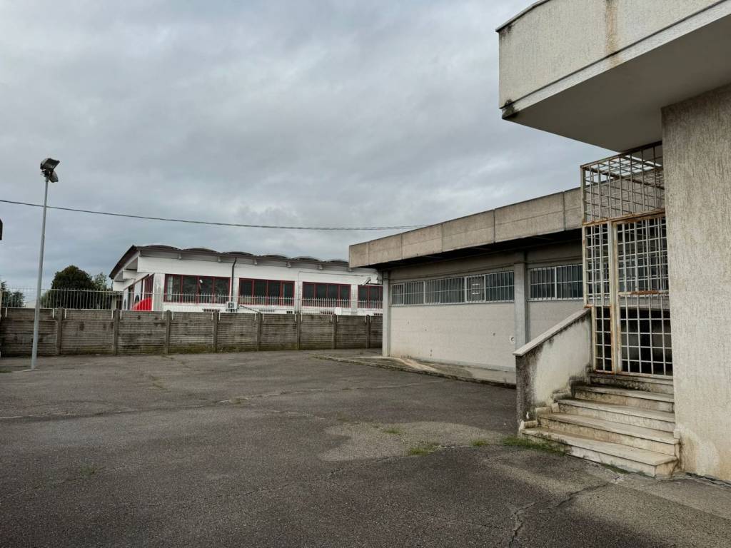 immagine annuncio 3 di 5