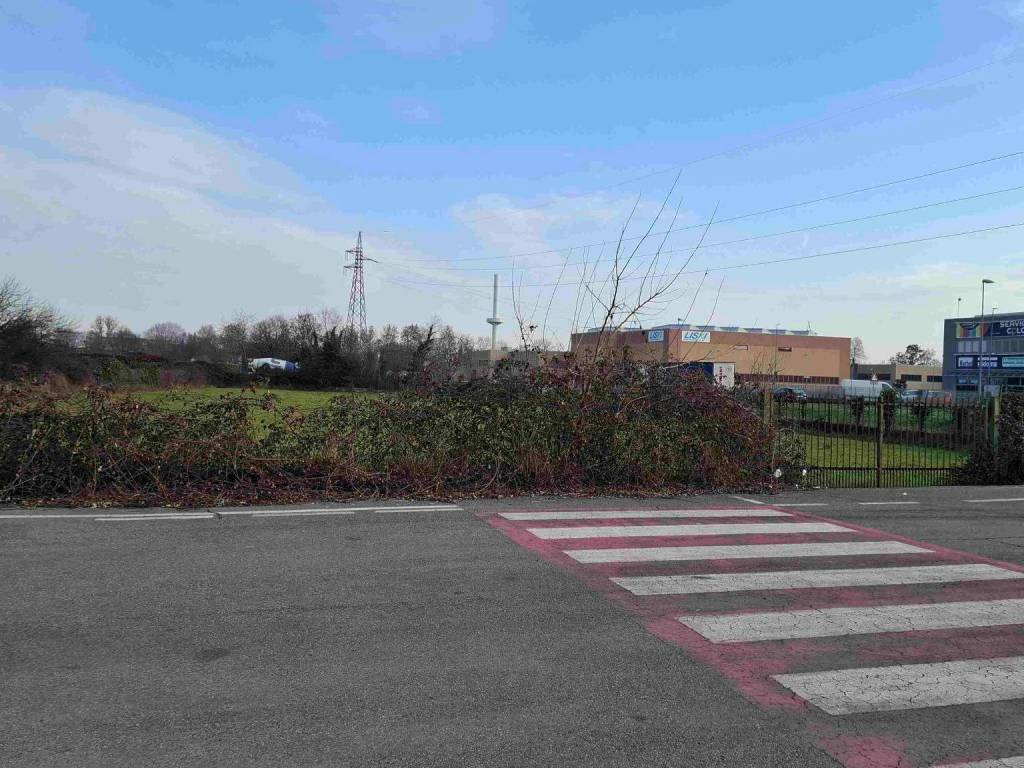 immagine annuncio 3 di 5