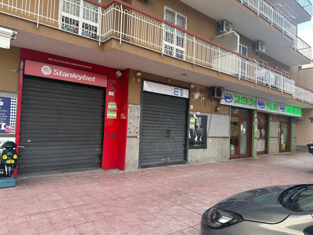 immagine annuncio 1 di 4