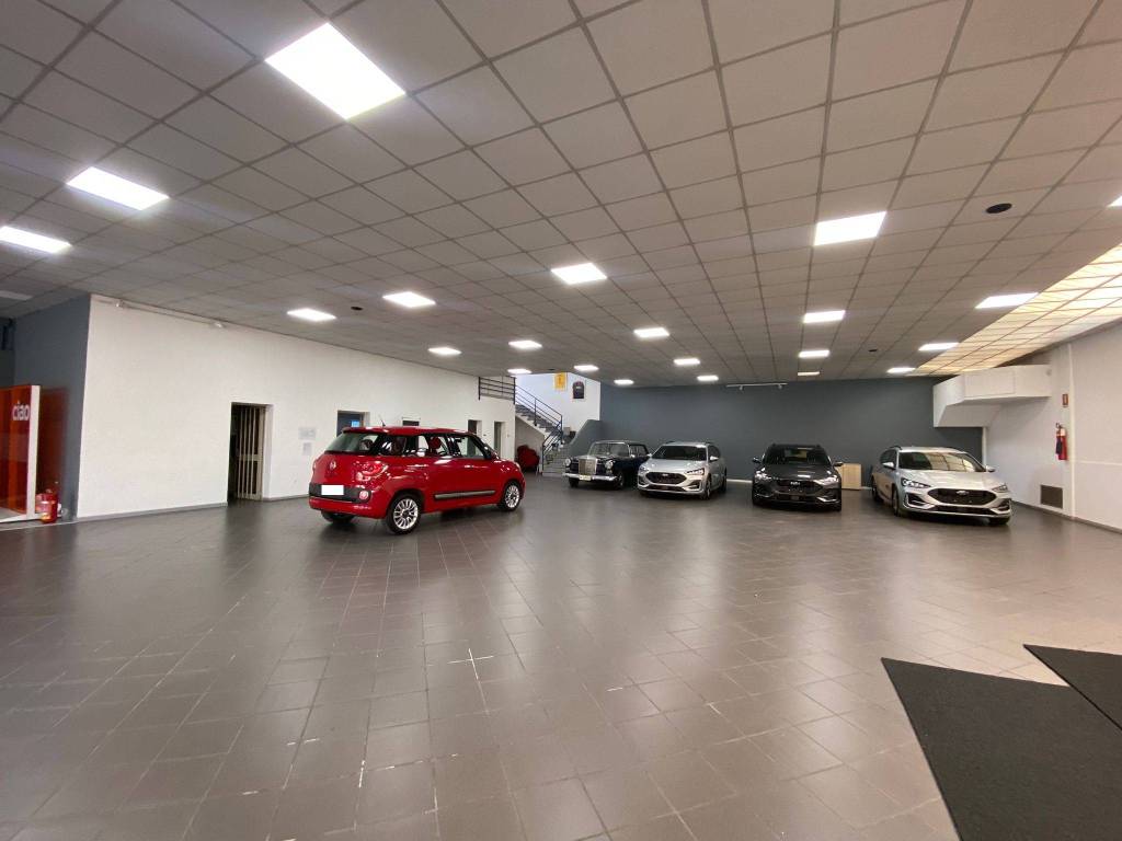 immagine annuncio 3 di 5