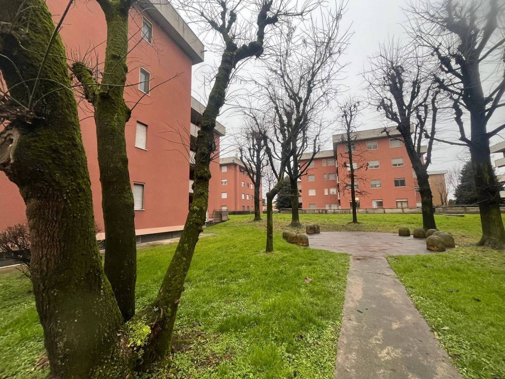 immagine annuncio 3 di 5