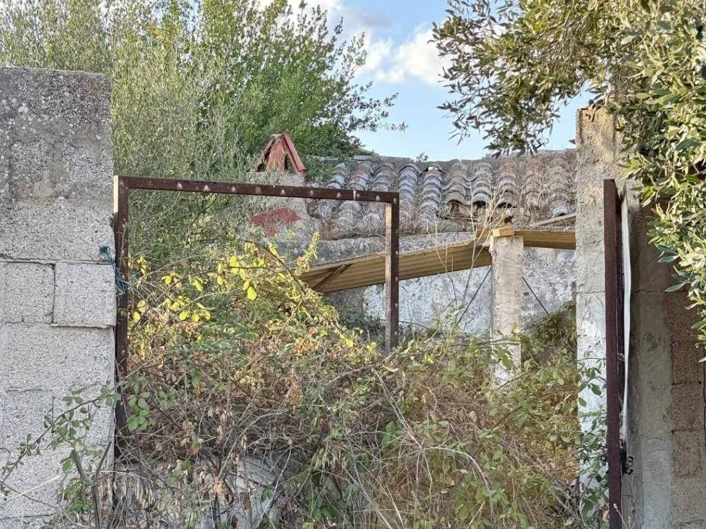 immagine annuncio 3 di 4