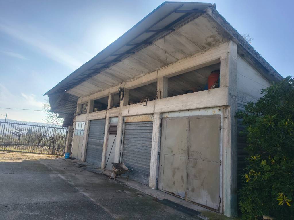 immagine annuncio 3 di 5