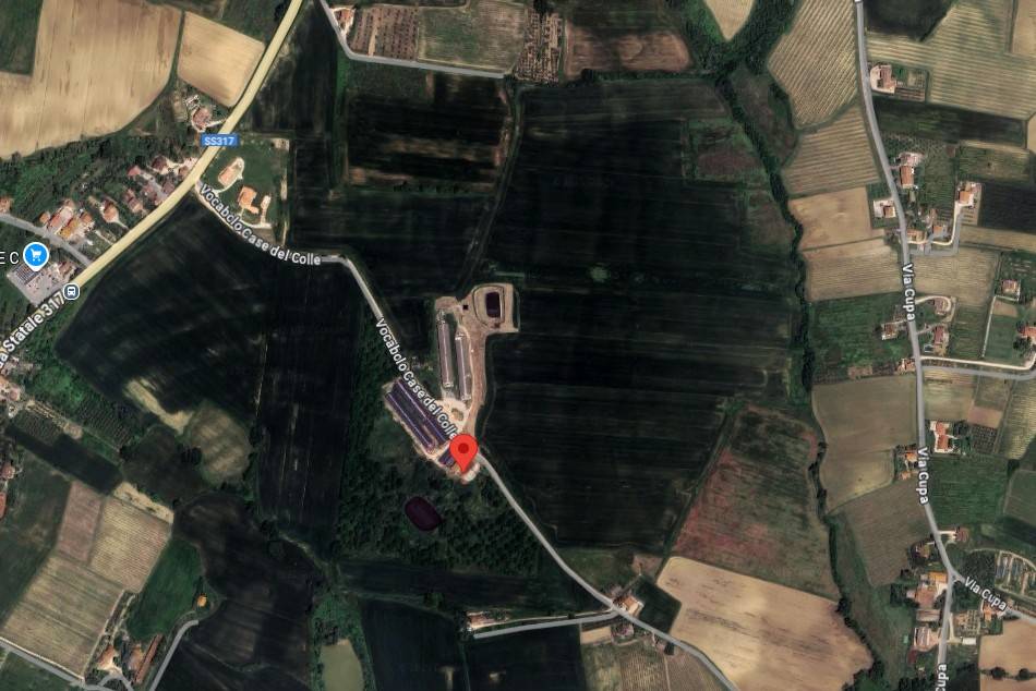 immagine annuncio 2 di 5