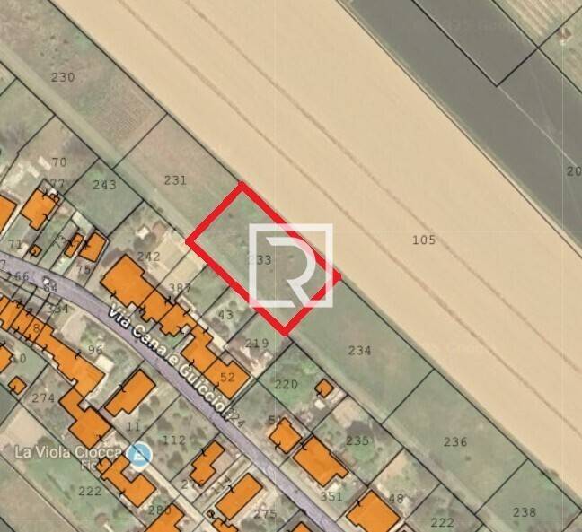 immagine annuncio 2 di 4