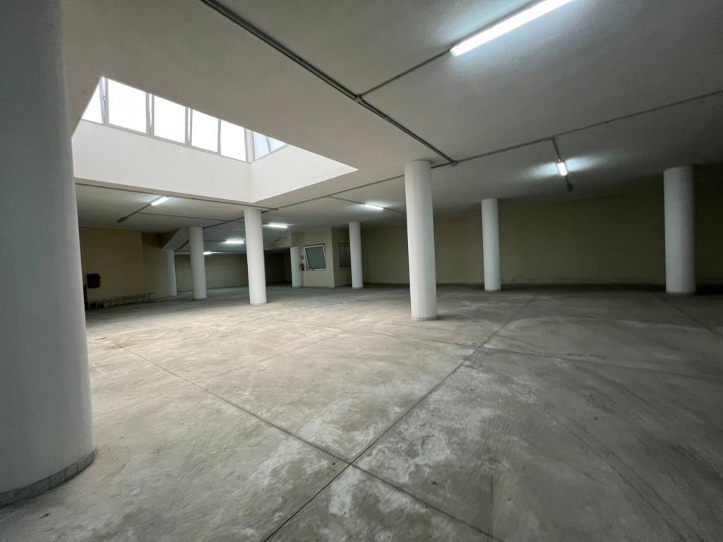 immagine annuncio 2 di 3