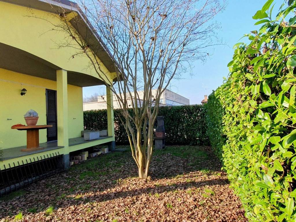 immagine annuncio 3 di 5