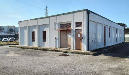 immagine annuncio 1 di 3