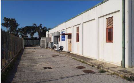 immagine annuncio 2 di 3