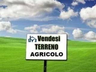 terreno agricolo in vendita a San Giuliano Terme in zona Pontasserchio