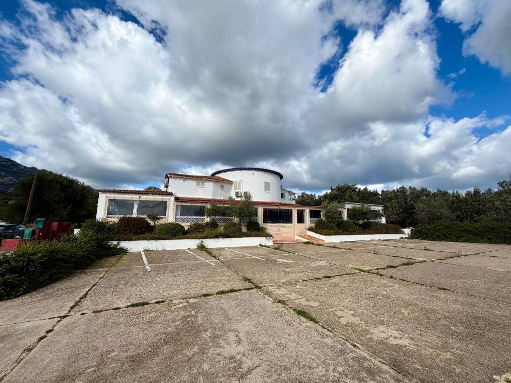 immagine annuncio 1 di 4