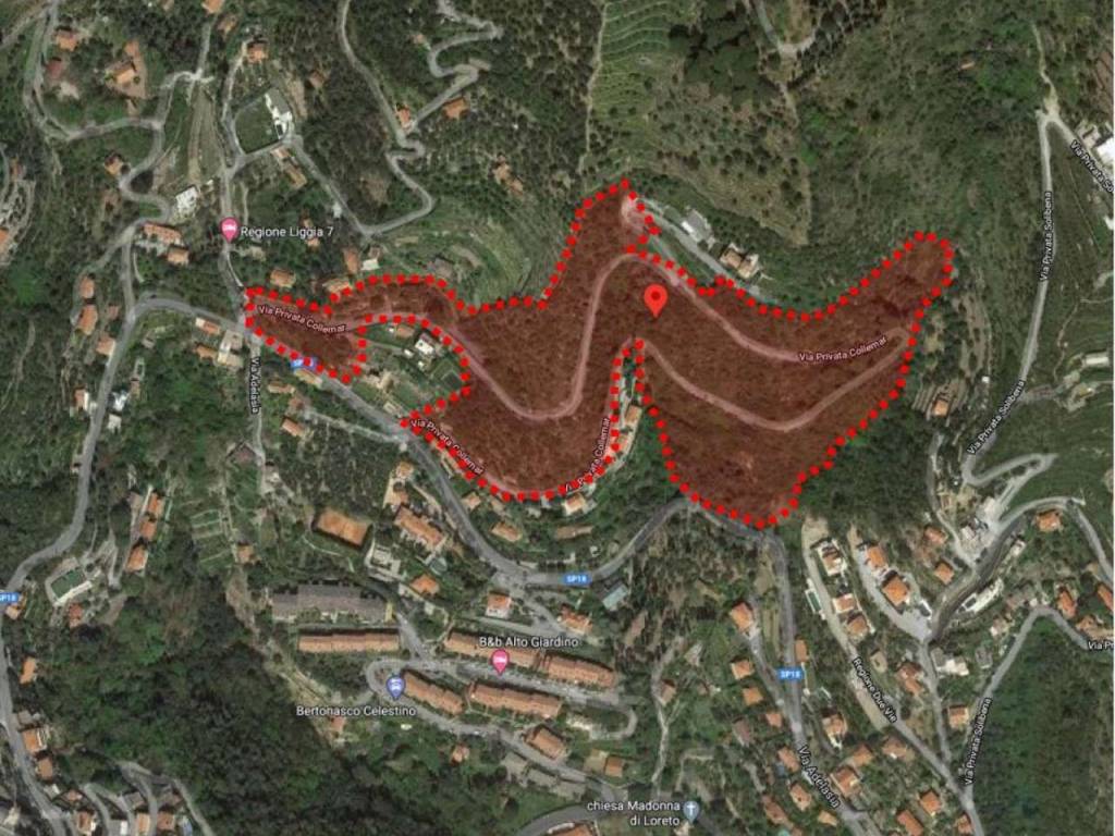 immagine annuncio 3 di 5