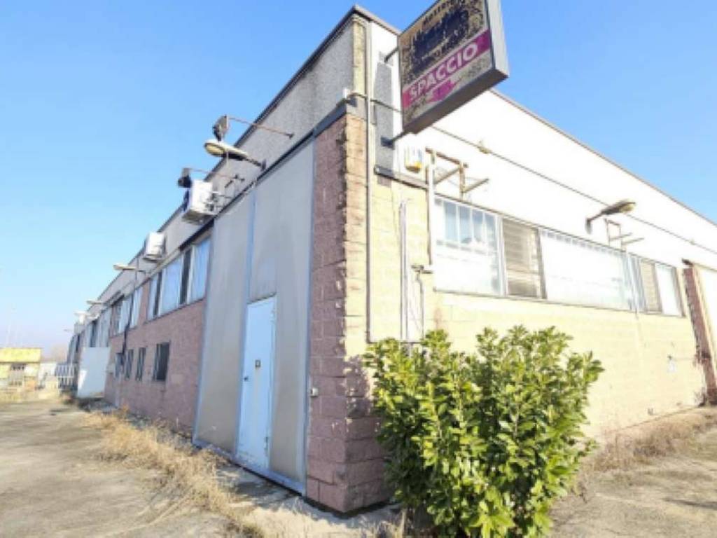 immagine annuncio 3 di 5