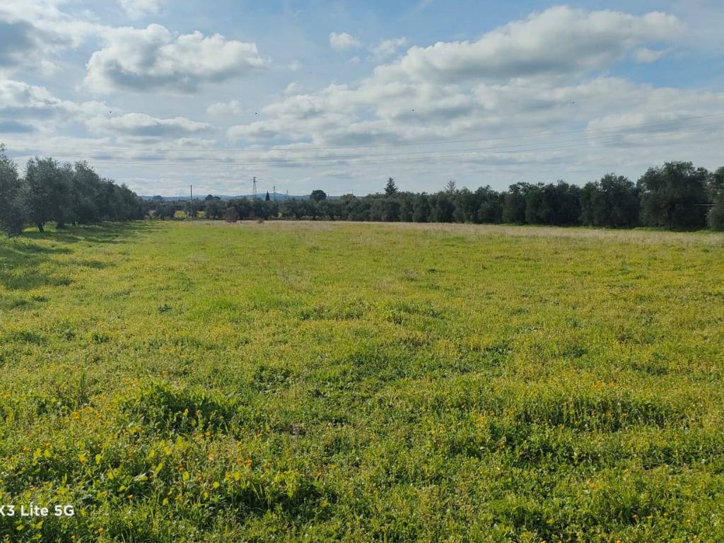 immagine annuncio 3 di 4