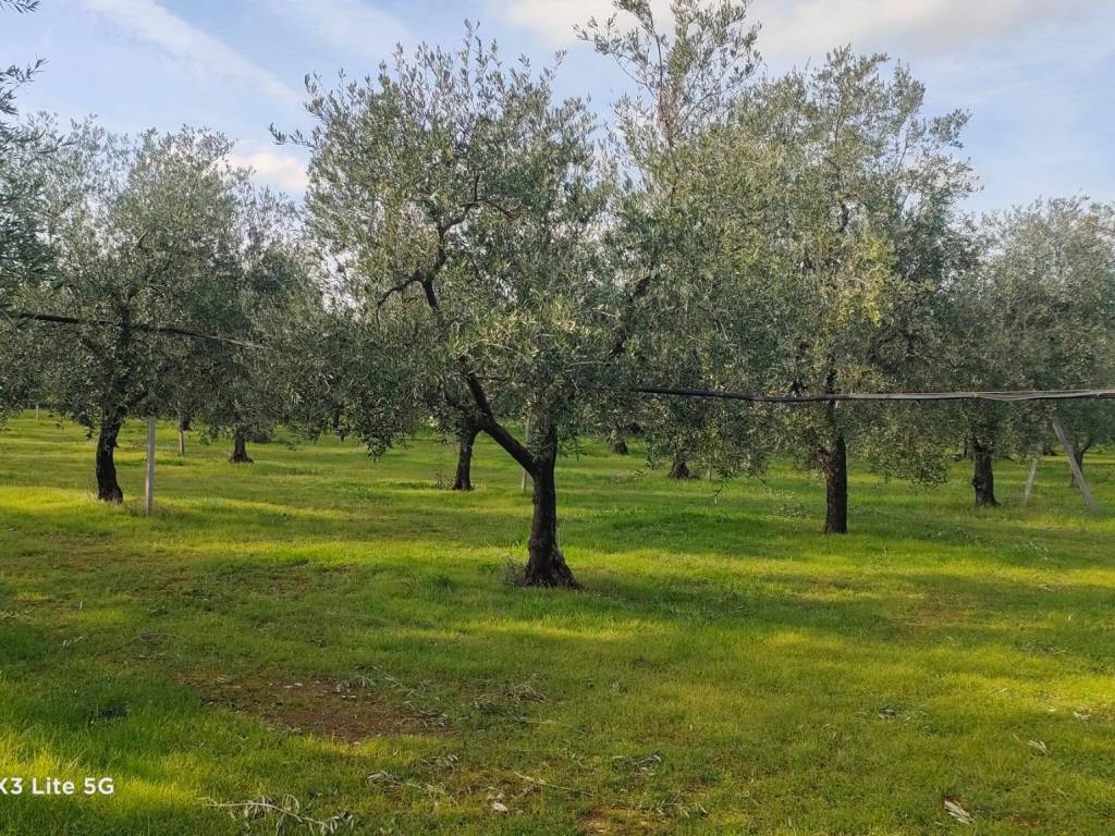 immagine annuncio 1 di 3