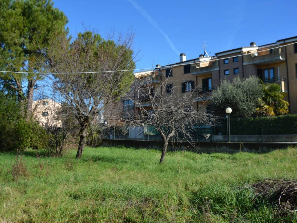 immagine annuncio 1 di 2