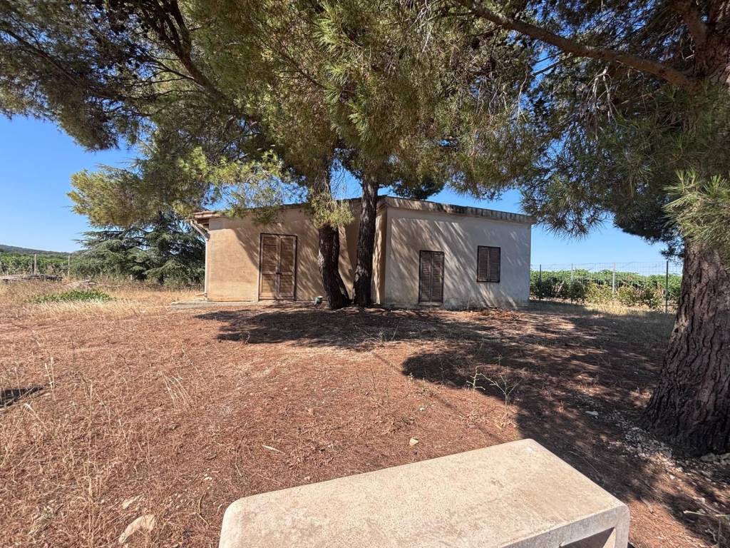 immagine annuncio 1 di 4